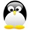 Afbeelding:linux-penguin.jpg